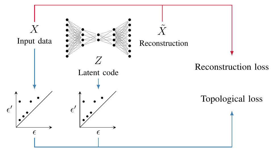 Topological Autoencoders Figure 2: an encoder maps input X to latent code Z, a decoder reconstructs X, and a separate topological loss compares input and latent persistence diagrams alongside reconstruction loss.
